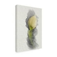 thumbnail image 2 of Lori Hutchison 'Yellow Calla Lily' Canvas Art, 2 of 3