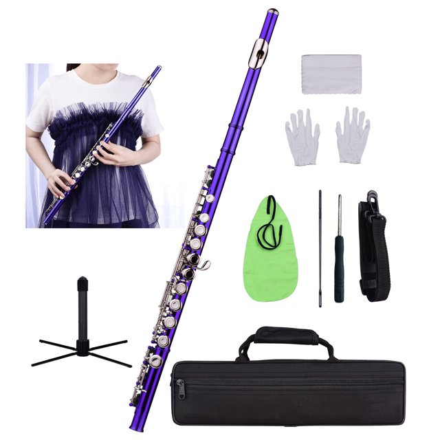 C Flute, Closed Hole 16 Keys Flute with Carry Case Gloves Cleaning Cloth Cleaning Rod Mini Screwdriver for Performance and Daily Practice