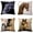 H5-H8, variant on 4Pcs 18'' Square Horse Printed Cushion Cover Vintage  Linen Square Pillow Cover  Covers Customized Drop Shipping