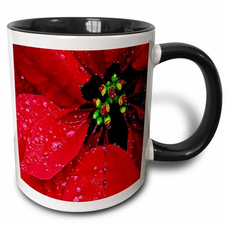 

3dRose Red Poinsettia With Dew Closeup Two Tone Black Mug 11oz