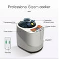 2 Liter Portable Sauna Steamer Pot, Generator For Steam Saunas, Home