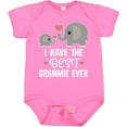thumbnail image 3 of Inktastic Grandkids Best Grammie Ever Boys or Girls Baby Bodysuit, 3 of 5