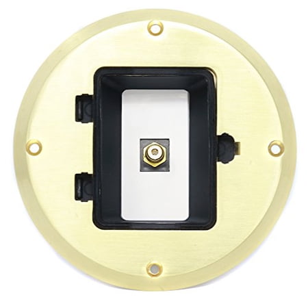 RiteAV 1 Port RCA for Subwoofer Audio Port Floor Box - Gold