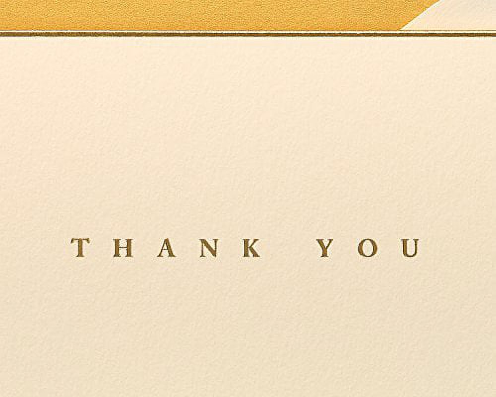 Papyrus Thank You Cards with Envelopes, Gold Border (16-Count) 