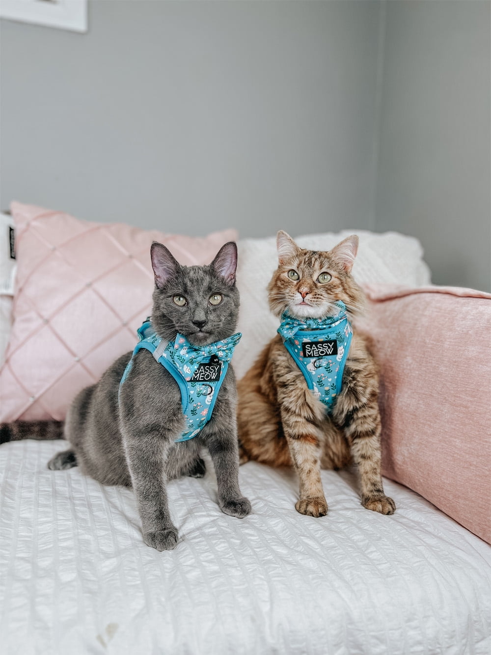 Sassy Meow Cat Step-In Harness Small - Purrs & Petals