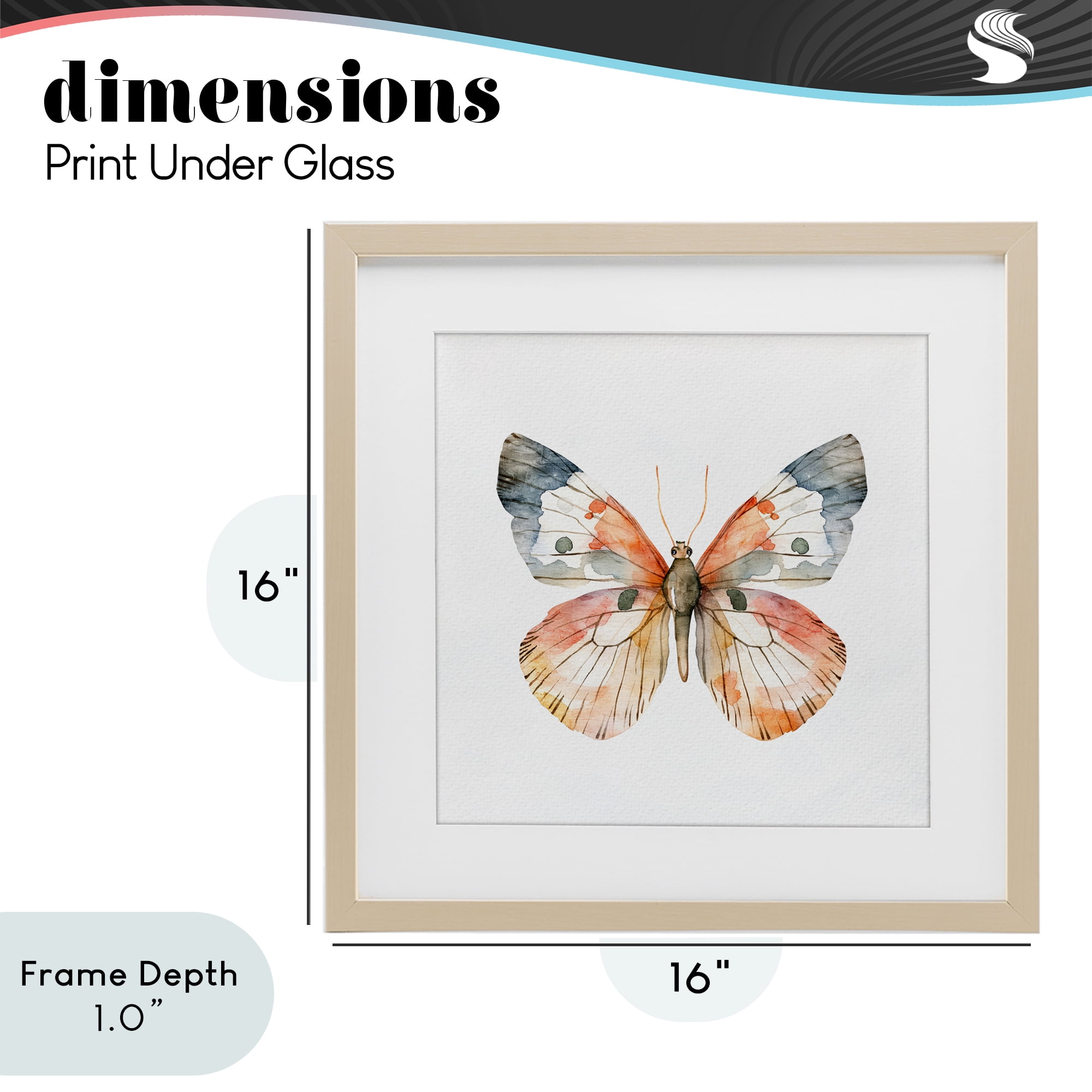 Stupell Industries Warm Watercolor Butterfly Birch Framed Print Under Glass, design by Kim Allen