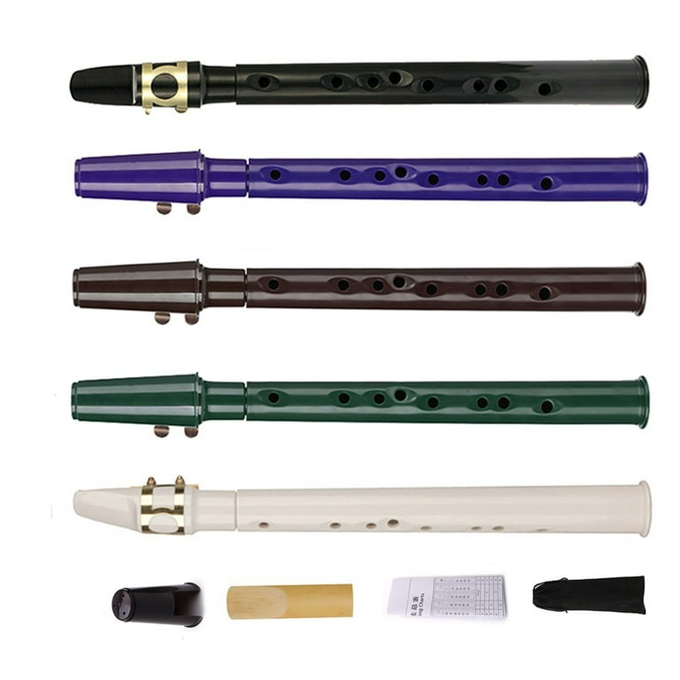 Portable Mini Sax Pocket Saxophone C Key Woodwind Instrument with Carry Bag  Y2L7