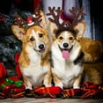 thumbnail image 5 of Sombreros navideños para mascotas, anillo navideño para el cabello, sombrero rojo, sombreros de asta de Reno, ropa navideña para mascotas, adornos para el pelo de perro, 5 of 5