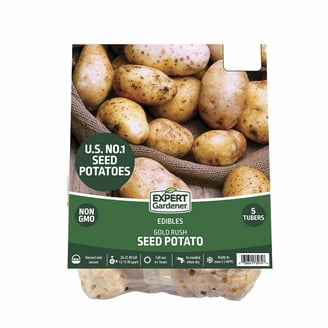 Expert Gardener Seed Potato Red Norland, Full Sun, Red Tubers