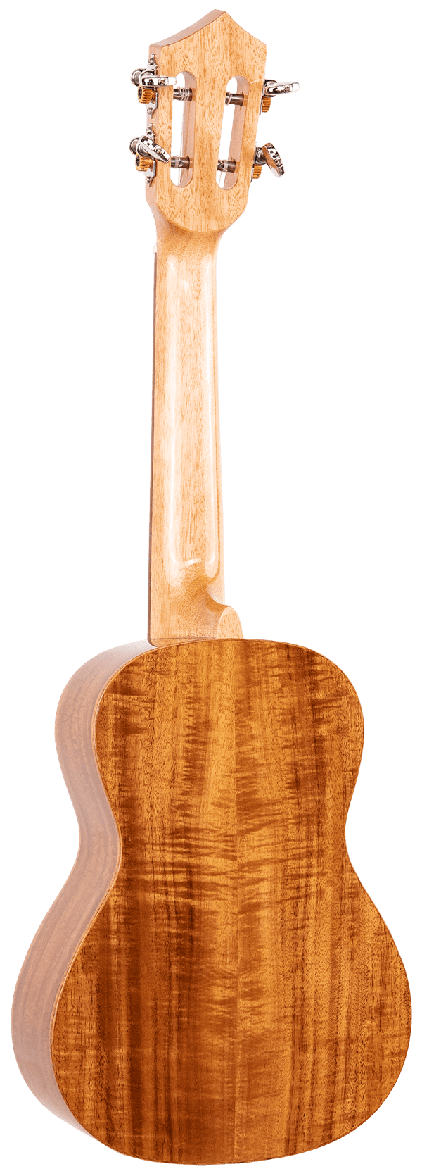 Eddy Finn Expression Series Concert Ukulele with Gig Bag, Koa