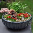 thumbnail image 2 of 1 Box of Decorative Micro Landscape Flower Adornment Mini House Ornament, 2 of 4
