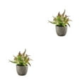 thumbnail image 1 of Redempat Plastic Easy To Clean Artificial Succulent Realistic Appearance Long-lasting Durability Eco-friendly purple rose 2Set, 1 of 6