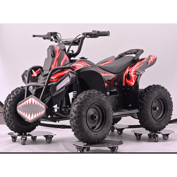 Pescroa with 500W Motor, 4 Wheeler with 15Mph Max Speed