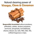 thumbnail image 3 of Wipex Table Bussers Natural Surface Cleaning Wipes, Restaurants, Homes, Cafes, Schools, 400Ct, 3 of 11