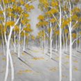 thumbnail image 3 of Yellow birch forest - 36"x36" canvas - Print on demand, 3 of 5