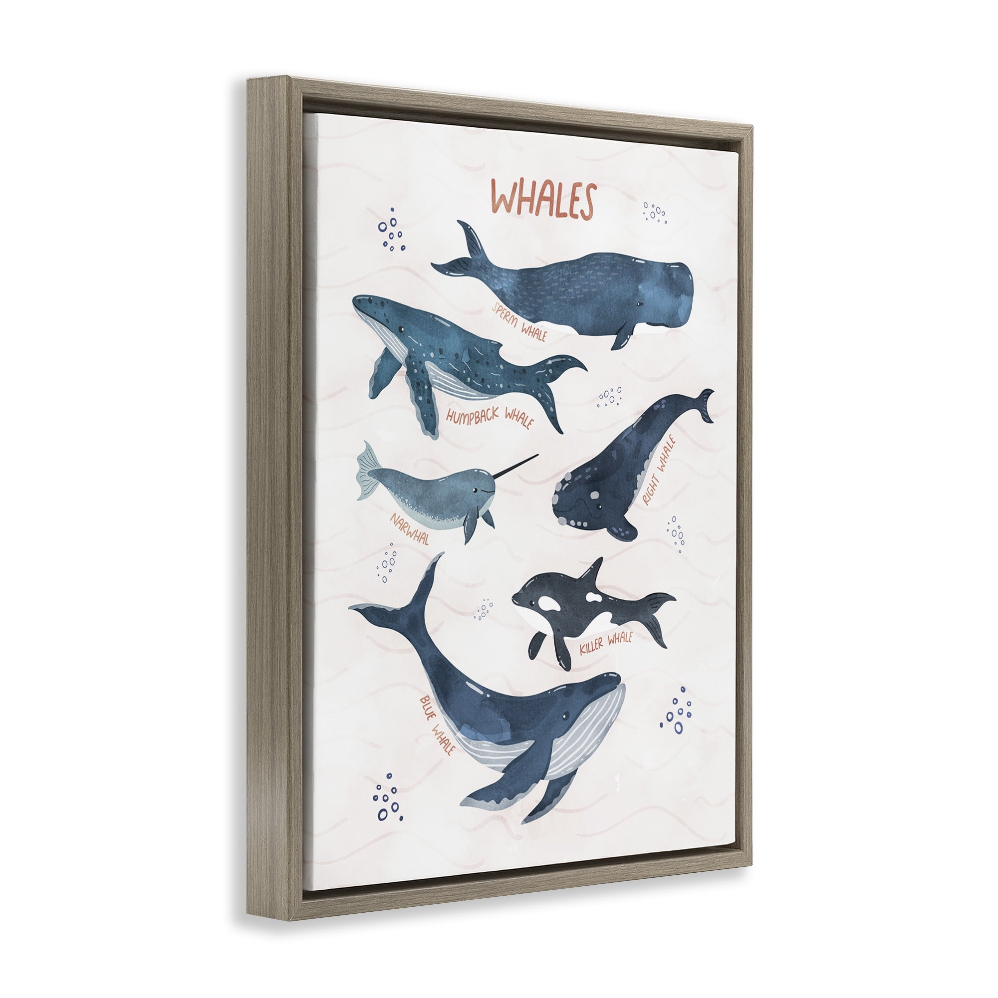 Stupell Industries Whales of the World Animals & Insects Painting Brown Floater Framed Art Print Wall Art, 17 x 21