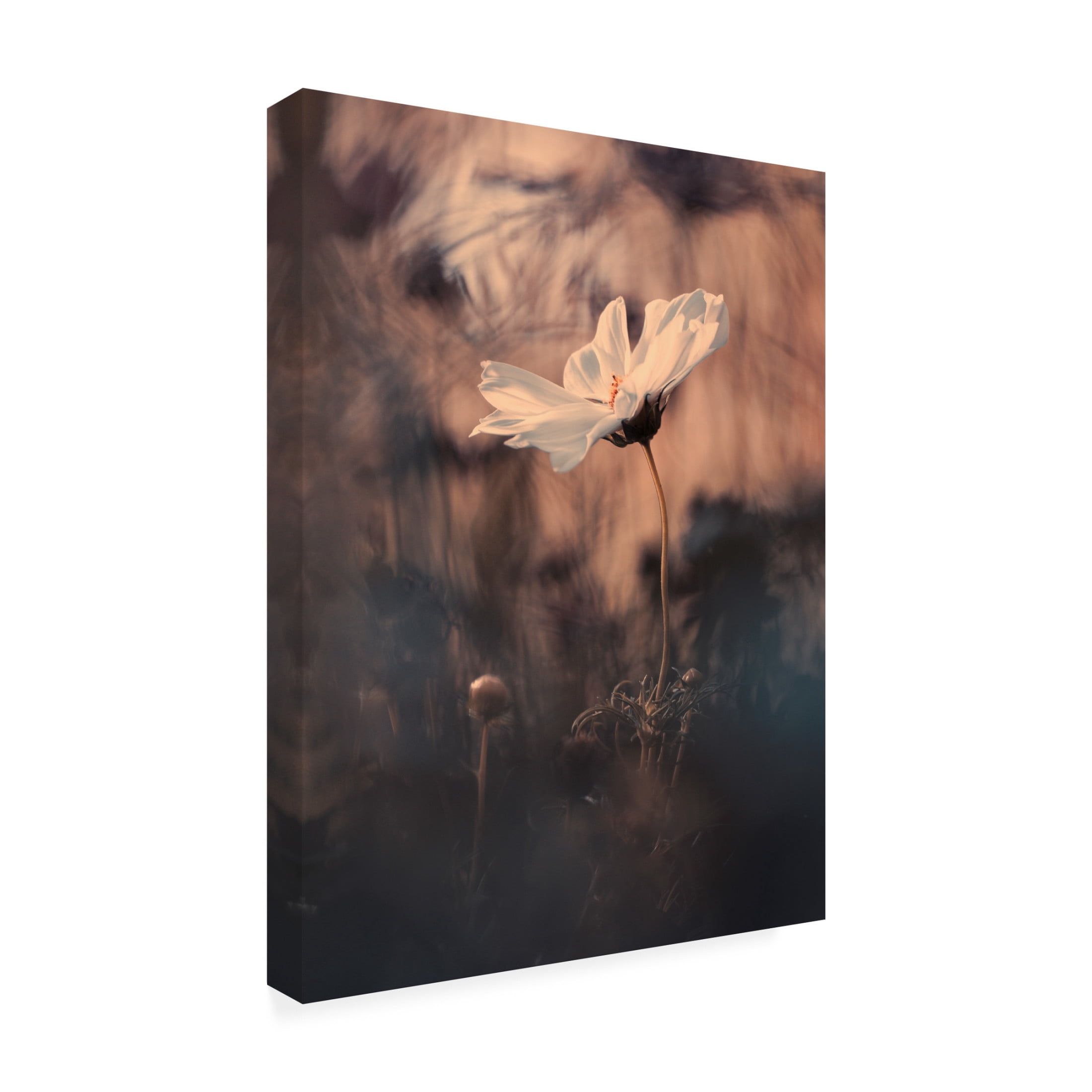Canvas Wall Art - Fabien Bravin 'The Bride' Wall Art for Living Room, Bedroom, or Office Décor by Trademark Fine Art - 14 x 19 Inches