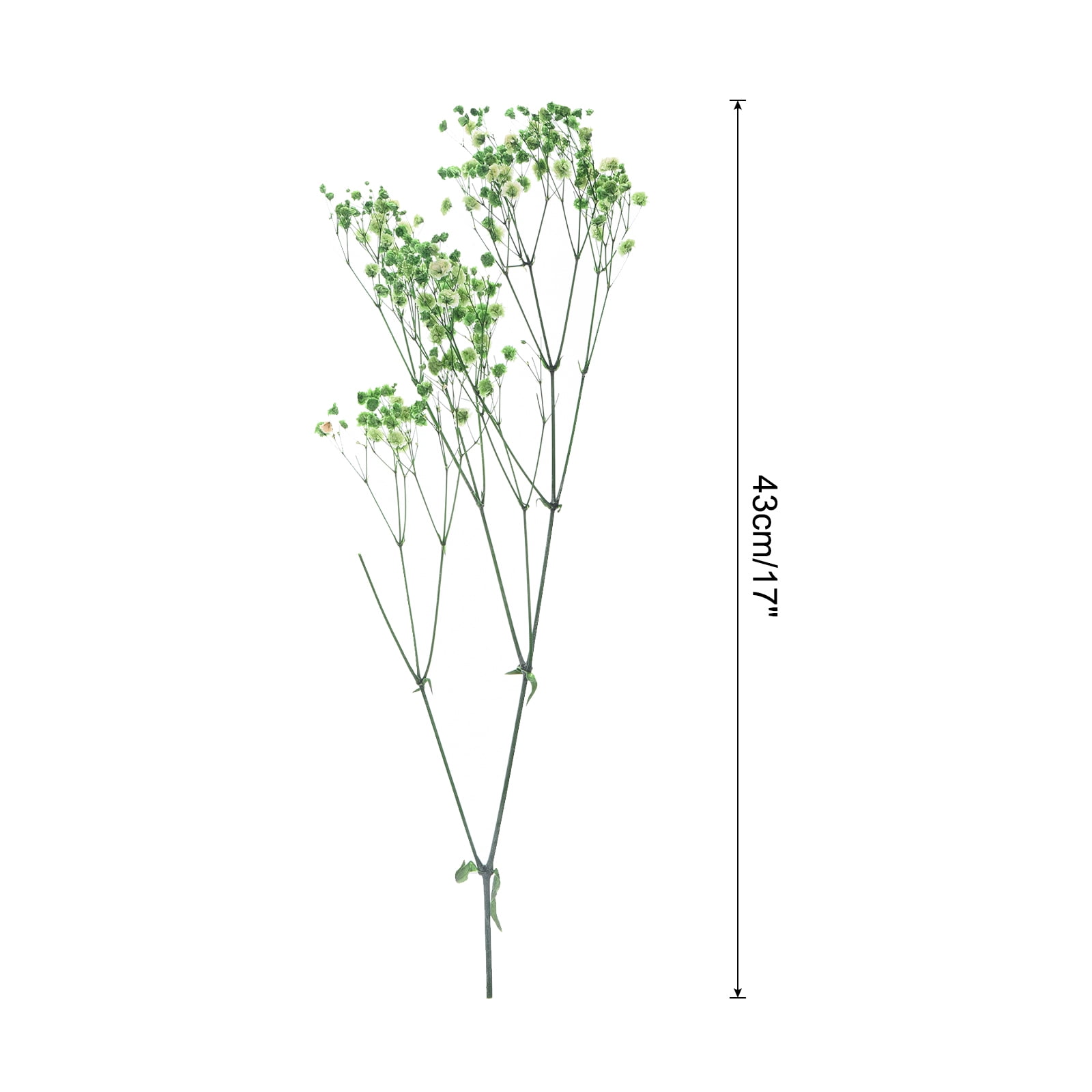 Uxcell Dried Baby's Breath Flowers 17 Inch Gypsophila Green Natural Baby's Breath Branches for Wedding Party Home Decoration 3 Pcs