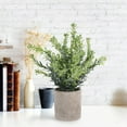 thumbnail image 3 of ifundom Faux Eucalyptus Bonsai Plant, Space-Saving Artificial Greenery, Assorted Colors, Easy and Office Decor, 3 of 6