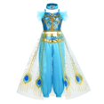 thumbnail image 2 of Vestido de princesa para niñas, disfraz de jazmín para niñas, vestido de princesa de Aladino, fiesta de cumpleaños, Cosplay, ropa de carnaval de fantasía 5-6T(130) Gao Jinjia LED, 2 of 2