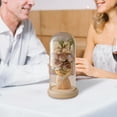 thumbnail image 5 of BingTong Preserved Rose Bouquet in Glass Dome,Preserved Flowers Gifts for Her,Forever Flowers Fresh Bouquet Present For Women Mothers Day Birthday Gifts For Mom Wife Khaki, 5 of 6