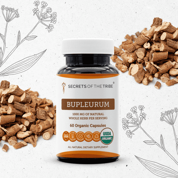 Secrets Of The Tribe Bupleurum Organic Capsules Dietary Supplement, Natural Herbal Capsules for Liver Support, Certified Organic Bupleurum (Bupleurum Chinense) Dried Root, 60 Capsules