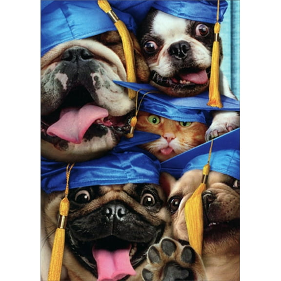Avanti Press Dog and Cat Grads Squished Into Photo Booth Funny / Humorous Graduation Congratulations Card