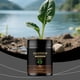 thumbnail image 5 of Plantas en Macetas de Interior de Suelo Vegetal, Suplemento Nutritivo de Activador de Suelos, Fórmula de Mantenimiento Diario, Cuidado de Plantas de Interior, 5 of 9
