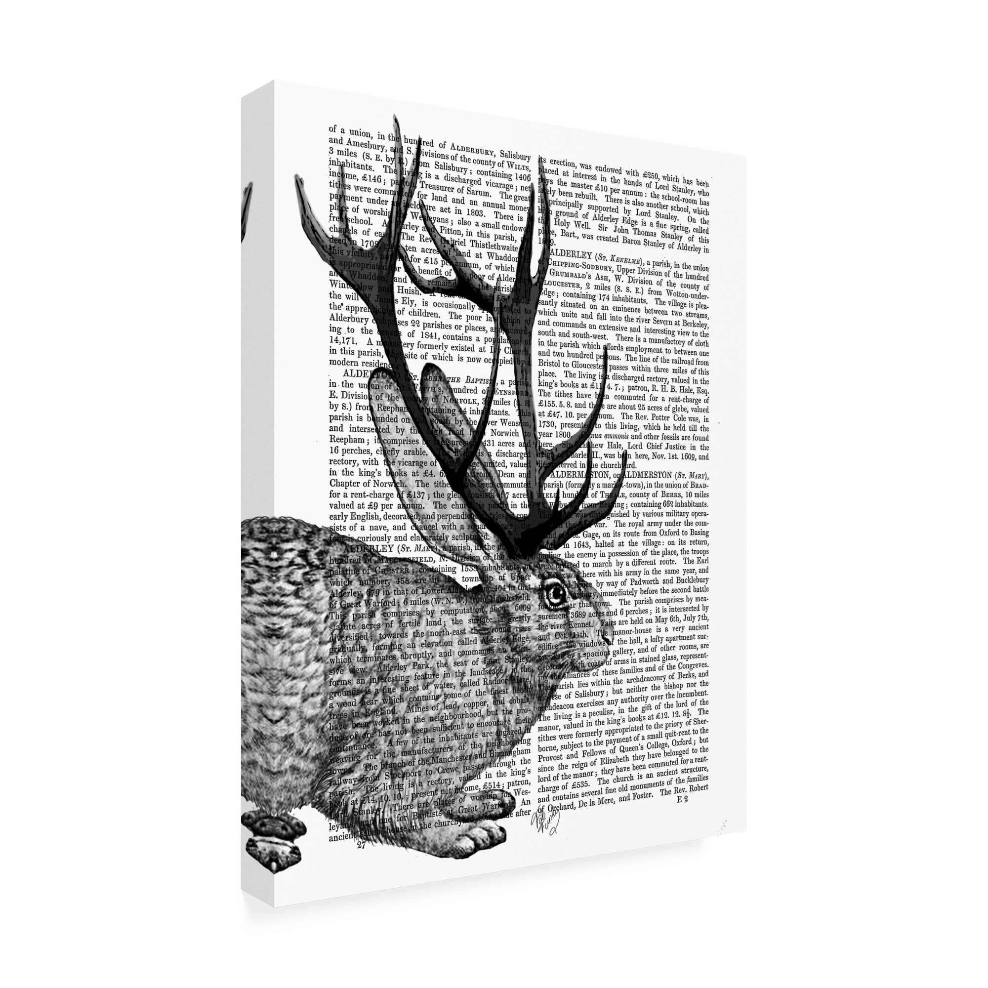 Trademark Fine Art 'Jackalope Portrait 2' Canvas Art by Fab Funky