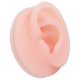 thumbnail image 3 of Oído Falso, Oído De Silicona Modelo De Oído De Silicona Suave Profesional Muestra De Muestra Modelo De Práctica De Acupuntura De Oído, 3 of 7