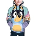 thumbnail image 5 of Lsque Bluey Patten Youth Hoodie Sweatshirt Pullover with Kangaroo Pocket Boys and Girls Hoodie Warm Hoodie for Kids, 5 of 8