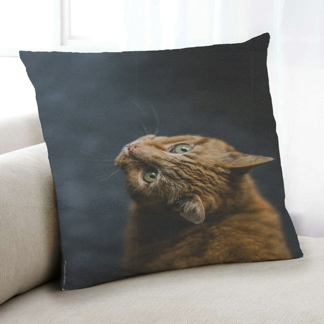 Ahgly Company Cat Cats Coussin Décoratif d'Intérieur, 18 Po X 18 Po
