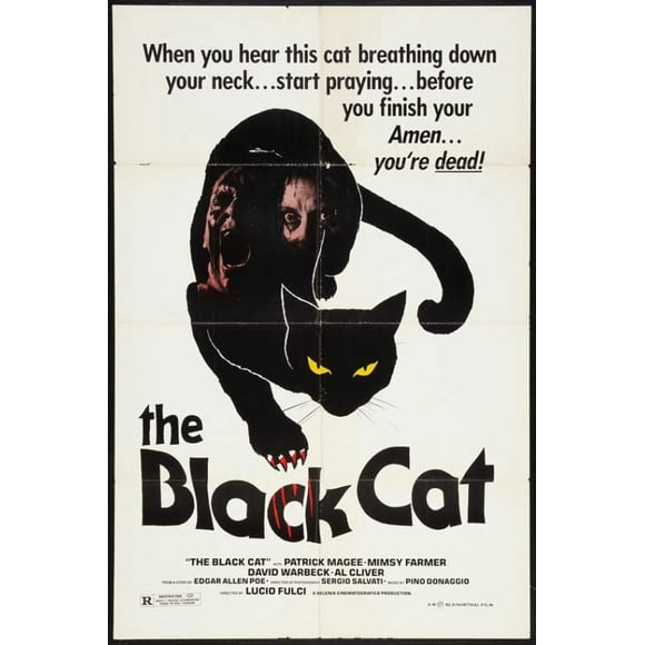 The Black Cat Movie Poster (11 x 17)