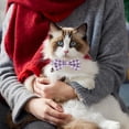 thumbnail image 5 of Mumup 2 Pcs Red Cat Collar for Boy Girl Cats Breakaway Cat Collars with Bell Cute Christmas Kitten Bow Tie Collar Adjustable Small Puppy Safety Collar Solid Color Plaid Pet Collar, 5 of 7