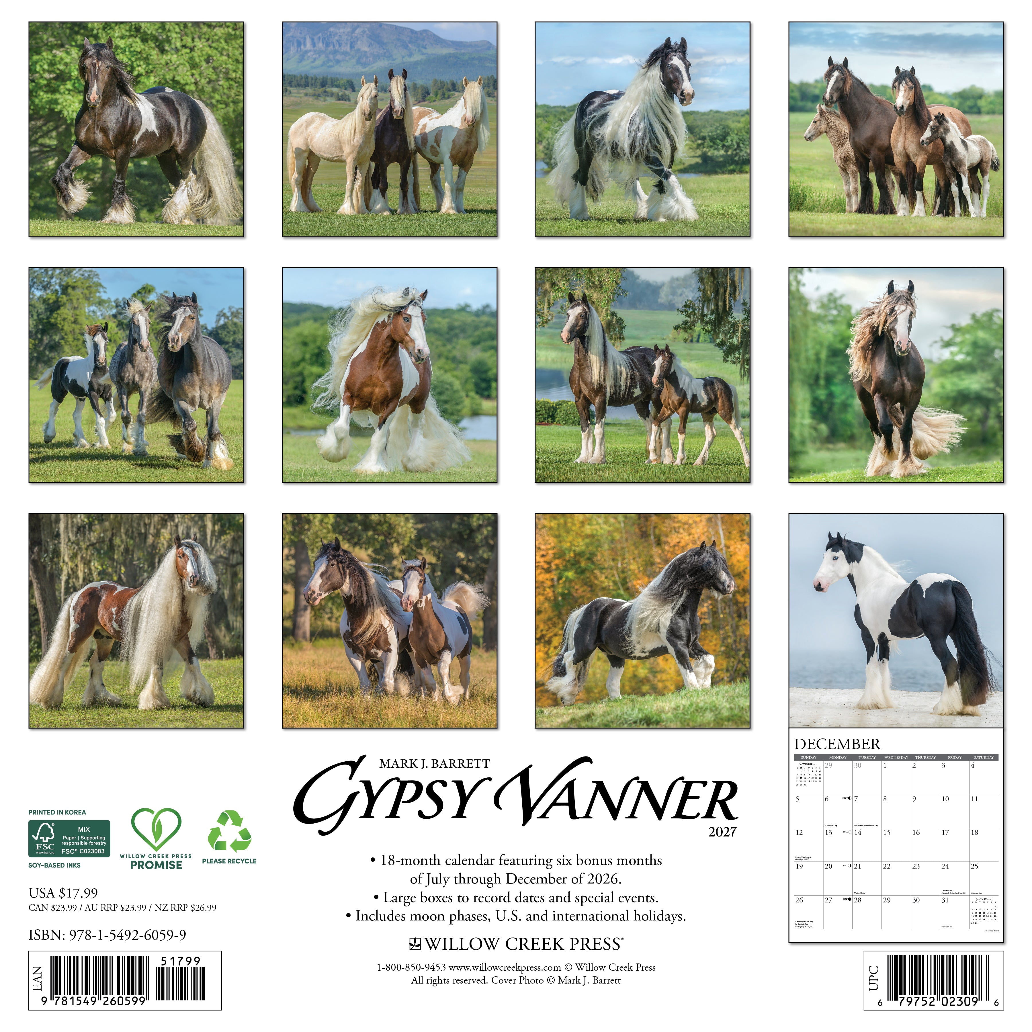 Willow Creek Press, Gypsy Vanner Horse 2027 Wall Calendar
