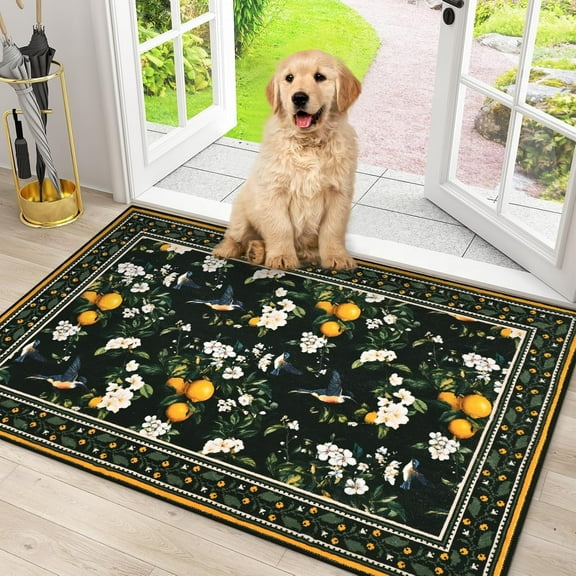 BLEUM CADE Vintage Floral Area Rug 2x3 Hummingbird Washable Non Slip Doormat Outdoor Entry Rug Soft Low Pile Lemon Carpet,Black