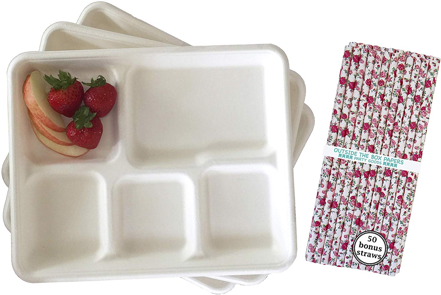 Retro Style Lunch Trays Biodegradable 24 Pack and 50 Paper Drinking