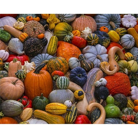 Vermont Christmas Company Autumn Harvest - 1000 Piece Jigsaw