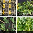 thumbnail image 7 of 200Cells Seedling Start Trays with Drain Holes,20pcs Peat Pots Seedling Pots Biodegradable,Seedling Starter Kit,Organic Germination Plant Starter Trays(200xLabels,2xTransplant Tools,1xSpray Bottle), 7 of 7