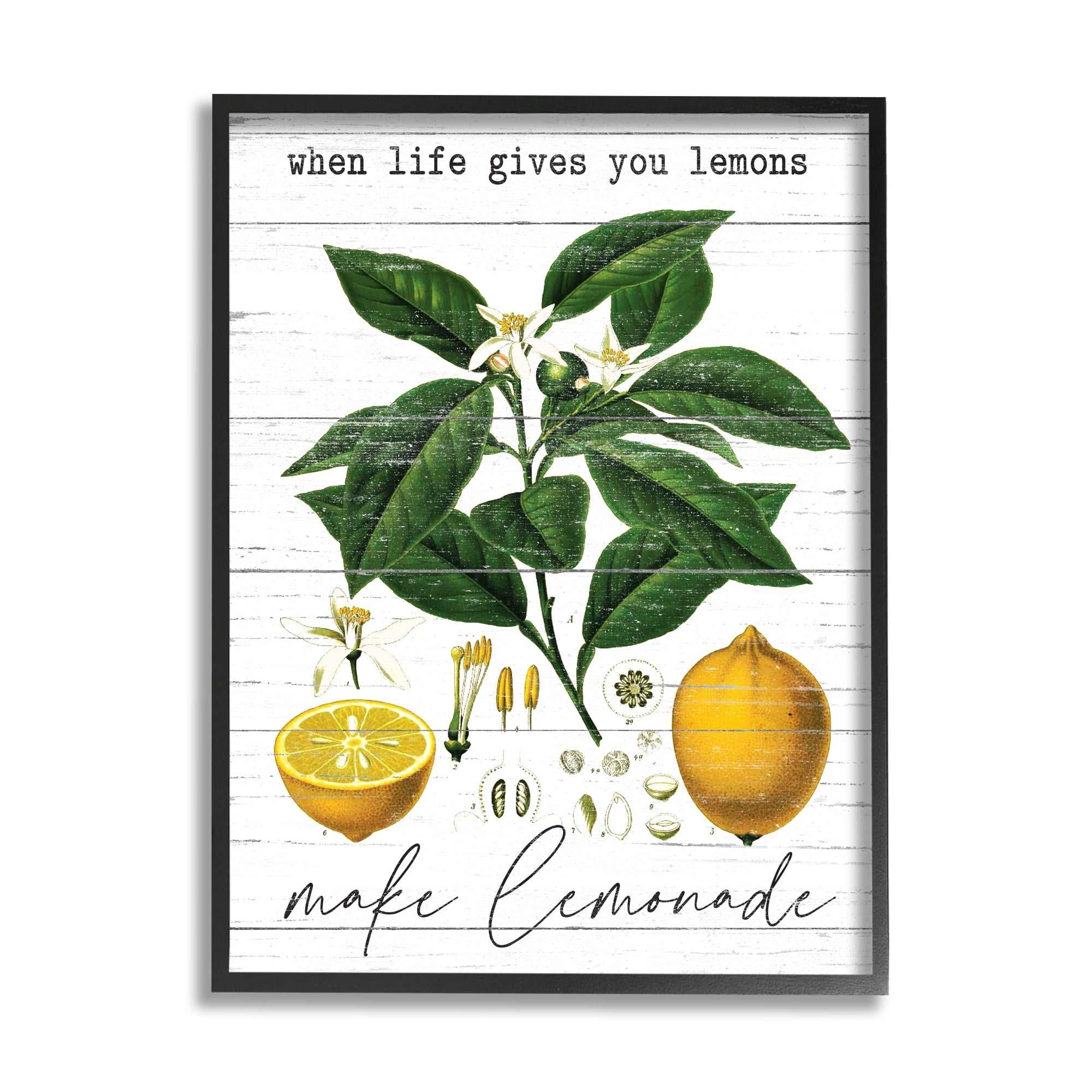 Stupell Industries Life Gives Lemons Quote Country Fruit Anatomy Gray Framed by Lettered and Lined