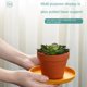 thumbnail image 5 of Juego de Platos Irrompibles FN GRACE 12 Unidades 15 cm, 5 of 8