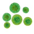 thumbnail image 6 of Efavormart 6 Multi Size Pack | Carnation Mint Green Dual Tone 3D Wall Flowers Giant  Paper Flowers - 12",16",20", 6 of 10