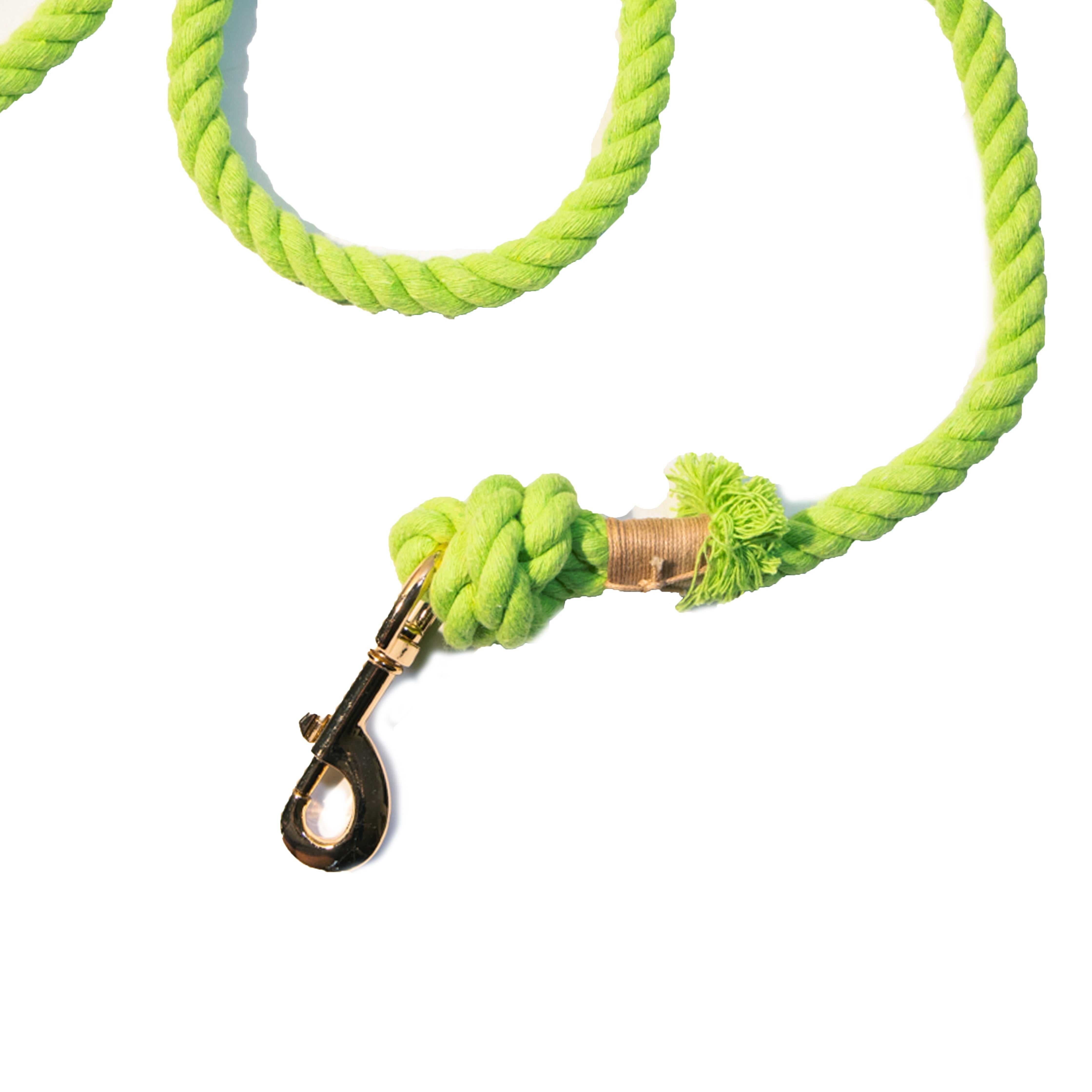 Lime Green Boho Chic Style Dog Leash - Glow Pups