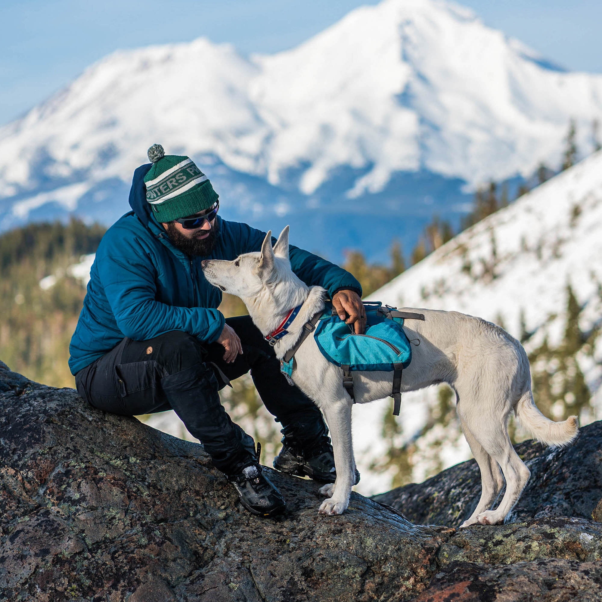 Kurgo Baxter Dog Backpack, Dog Saddlebag, Dog Pack, Adjustable Saddlebag for Hiking, Walking, Running, Camping, Coastal Blue