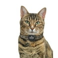 thumbnail image 2 of Pawscout Smarter Pet Tag, 2 of 5