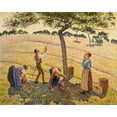 thumbnail image 2 of Pissarro, Camille 18x15 Black Ornate Wood Framed with Double Matting Museum Art Print Titled - Apple harvest at Eragny, 2 of 4