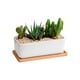 thumbnail image 4 of Maceta Rectangular con basae de Madera, 4 of 9