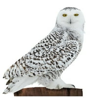 SC2535 Snowy Owl Cardboard Cutout Standee Standup