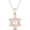 Rose, variant on Solid 925 Sterling Silver 14K White Gold Finish Jewish Star of David with Cross Pendant Necklace for Women