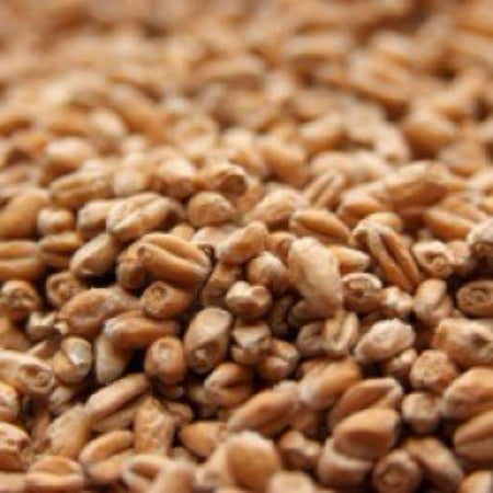 

Weyermann Pale Wheat Uncrushed Malt - 10 lb. Bag